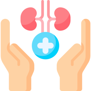 hands figuratively supporting kidney health